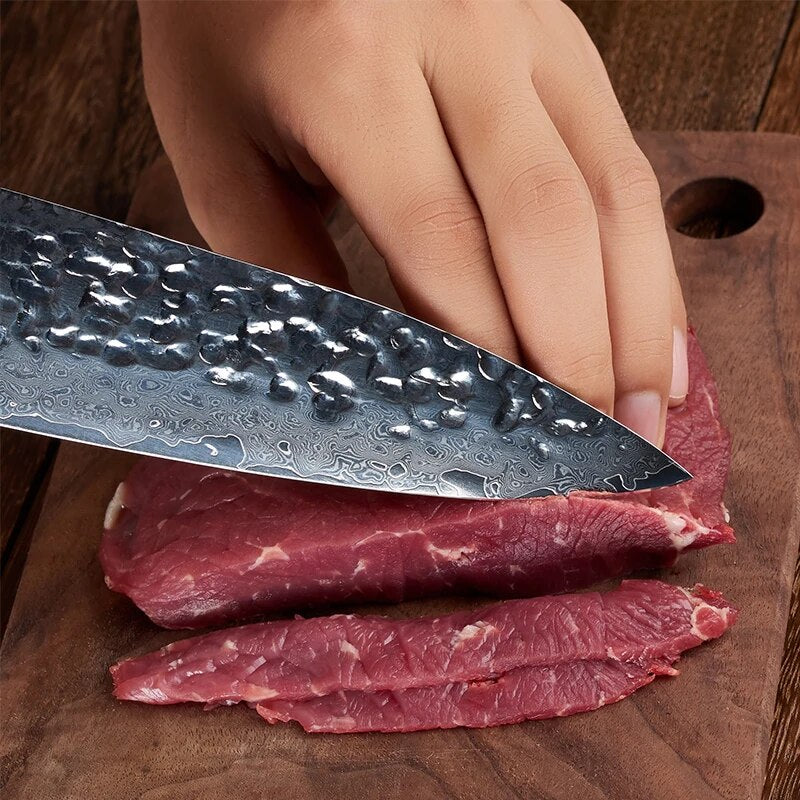 FINDKING 8 inch Sapele wood handle Damascus chef knife 67 layers Professional