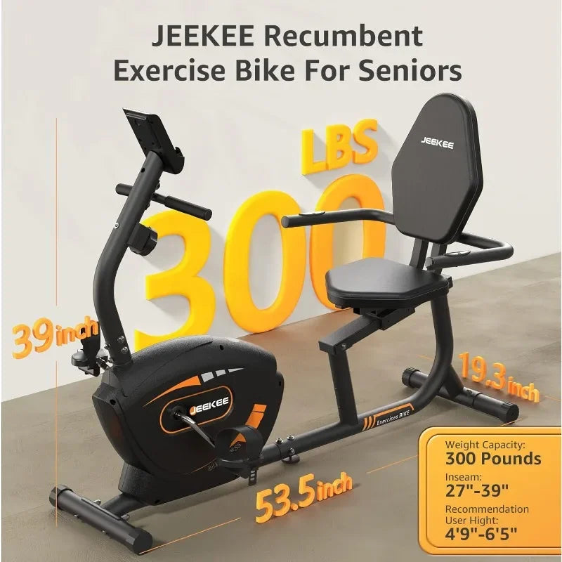 Recumbent Exercise Bike for Adults Seniors - Indoor Magnetic Cycling Fitness Equipment