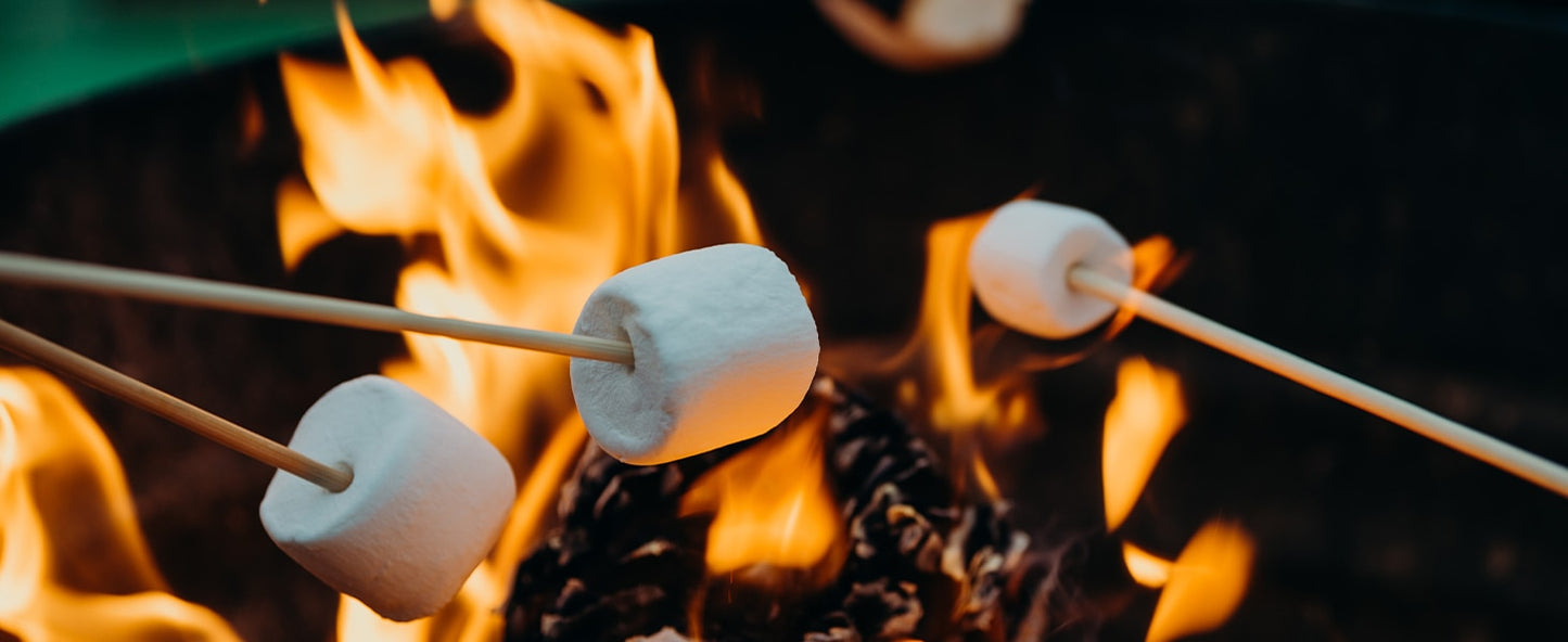 Wood Burning Outdoor Fire Pit - Smokeless, Stainless Steel, Black Finish - justforyoushopping23