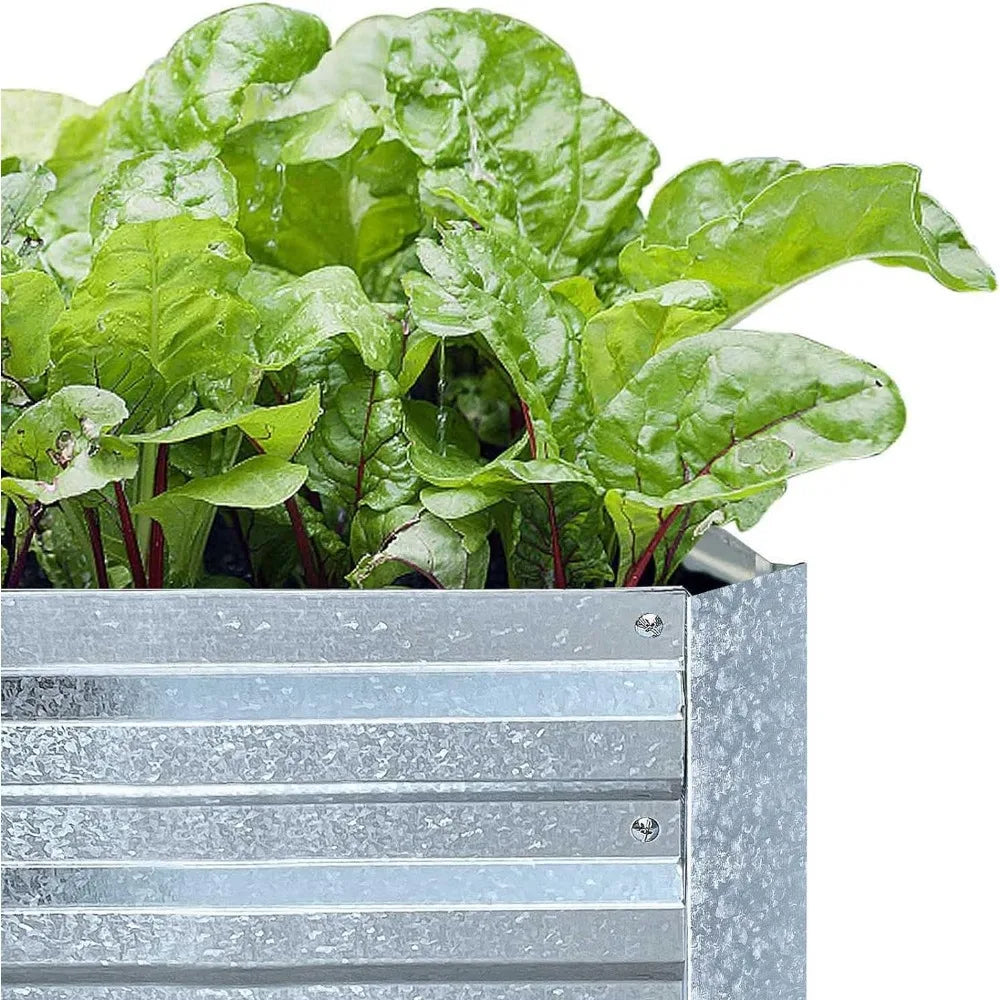 Galvanized Raised Garden Beds for Vegetables Large Metal Planter Box Steel Kit Flower Herb (8 x 4 x 1 ft * 2 Pack, Galvanized)