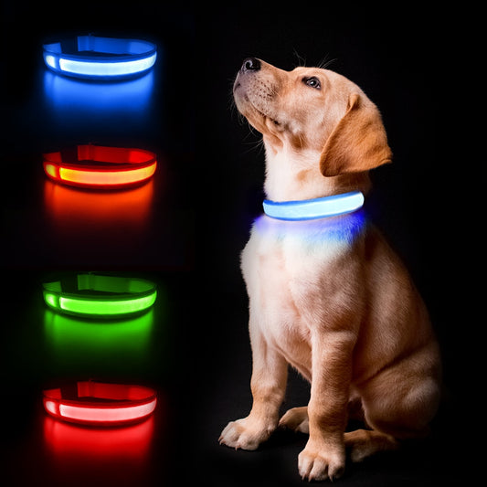 MASBRILL Luminous Pet Supplies Dog Collar Waterpoof - justforyoushopping23